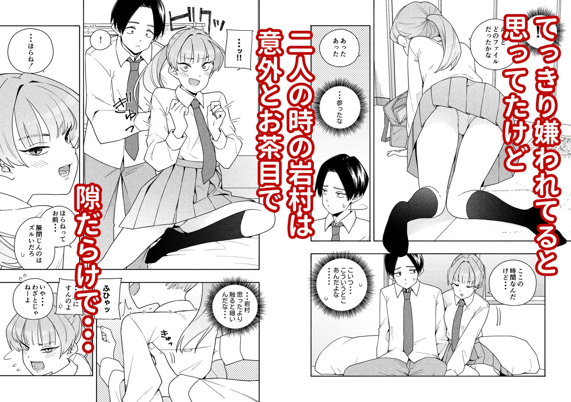 カムフラージュ 二人きりの放課後 密室