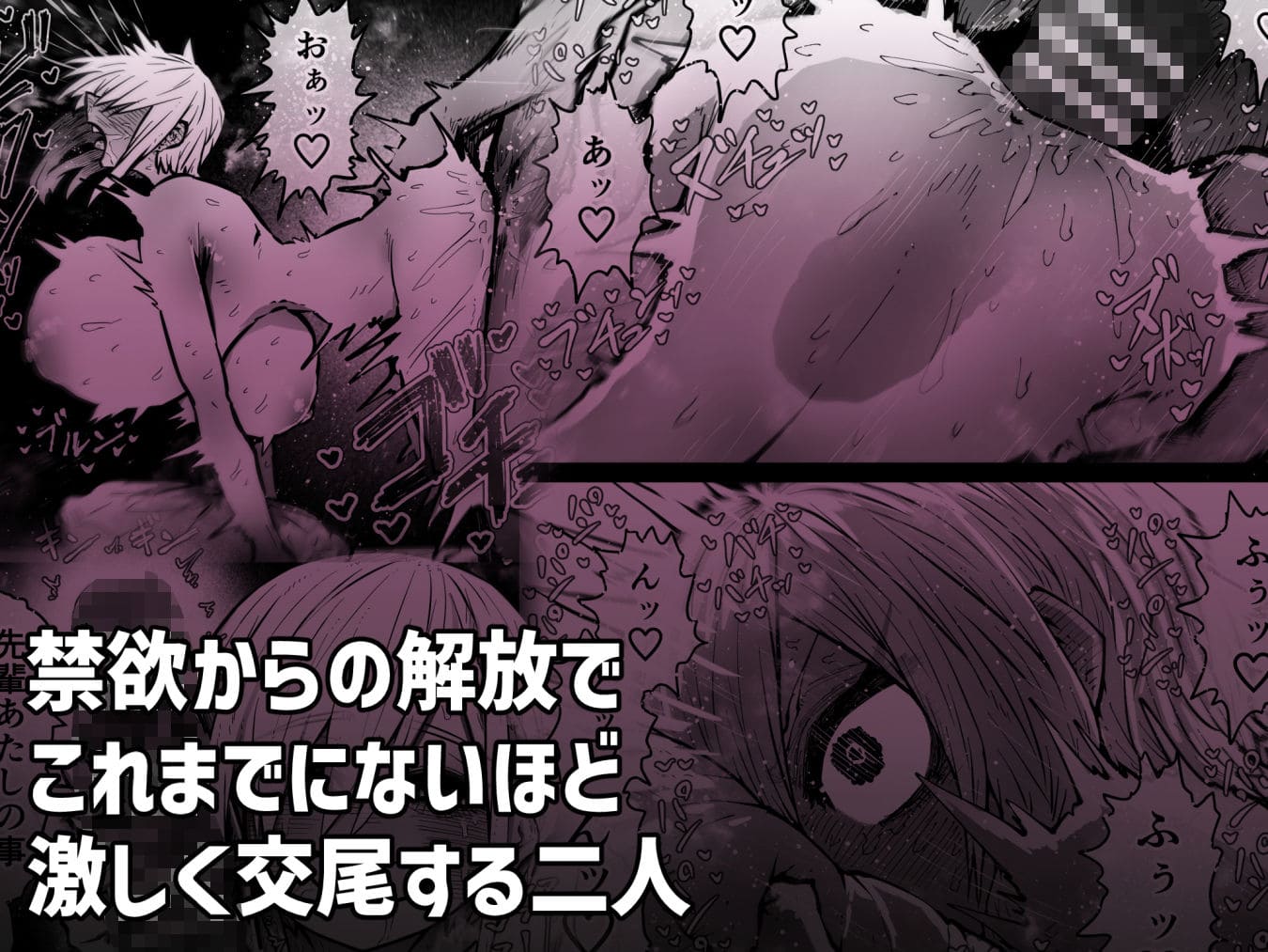 FANZA同人「大人気配信者ときどきメス猫」魅惑と誘惑が交錯する一枚