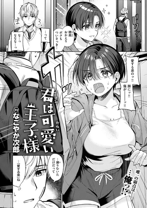 君は可愛い王子様 なごやか次郎 義姉弟 シチュエーション